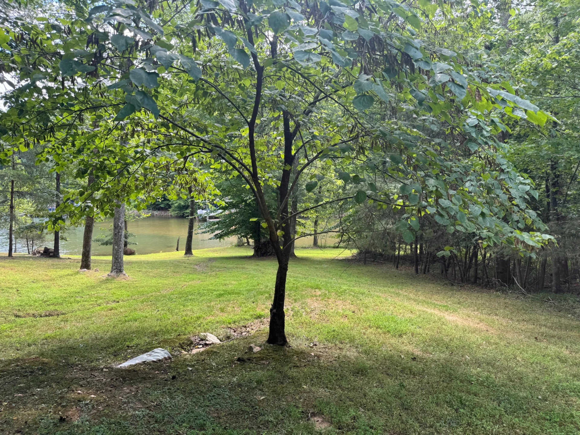 2854 Hickory Cove LN - Photo 146