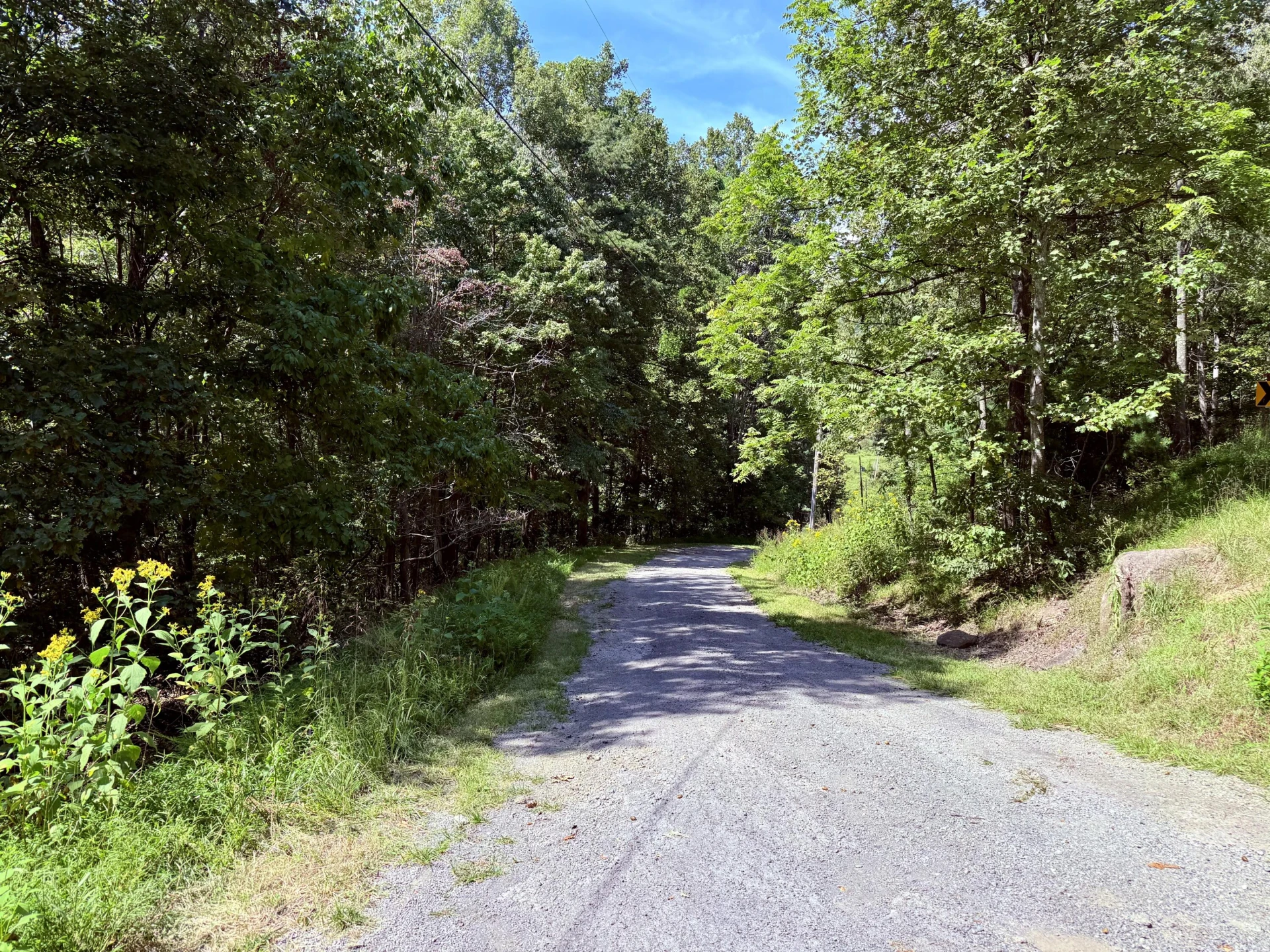 6955 Mt Chestnut RD - Photo 3