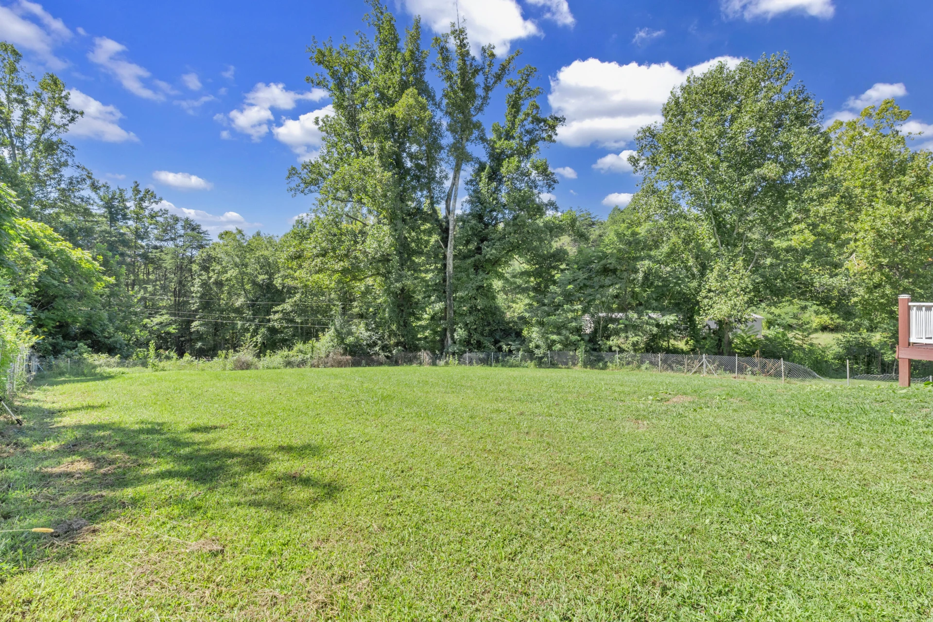 319 Cooks Knob Rd RD - Photo 33