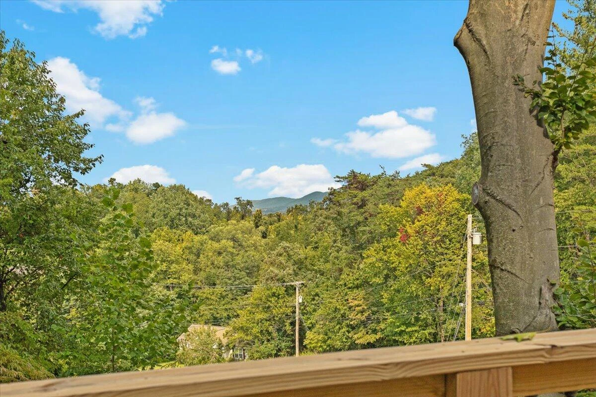 3615 Dogwood LN SW - Photo 46