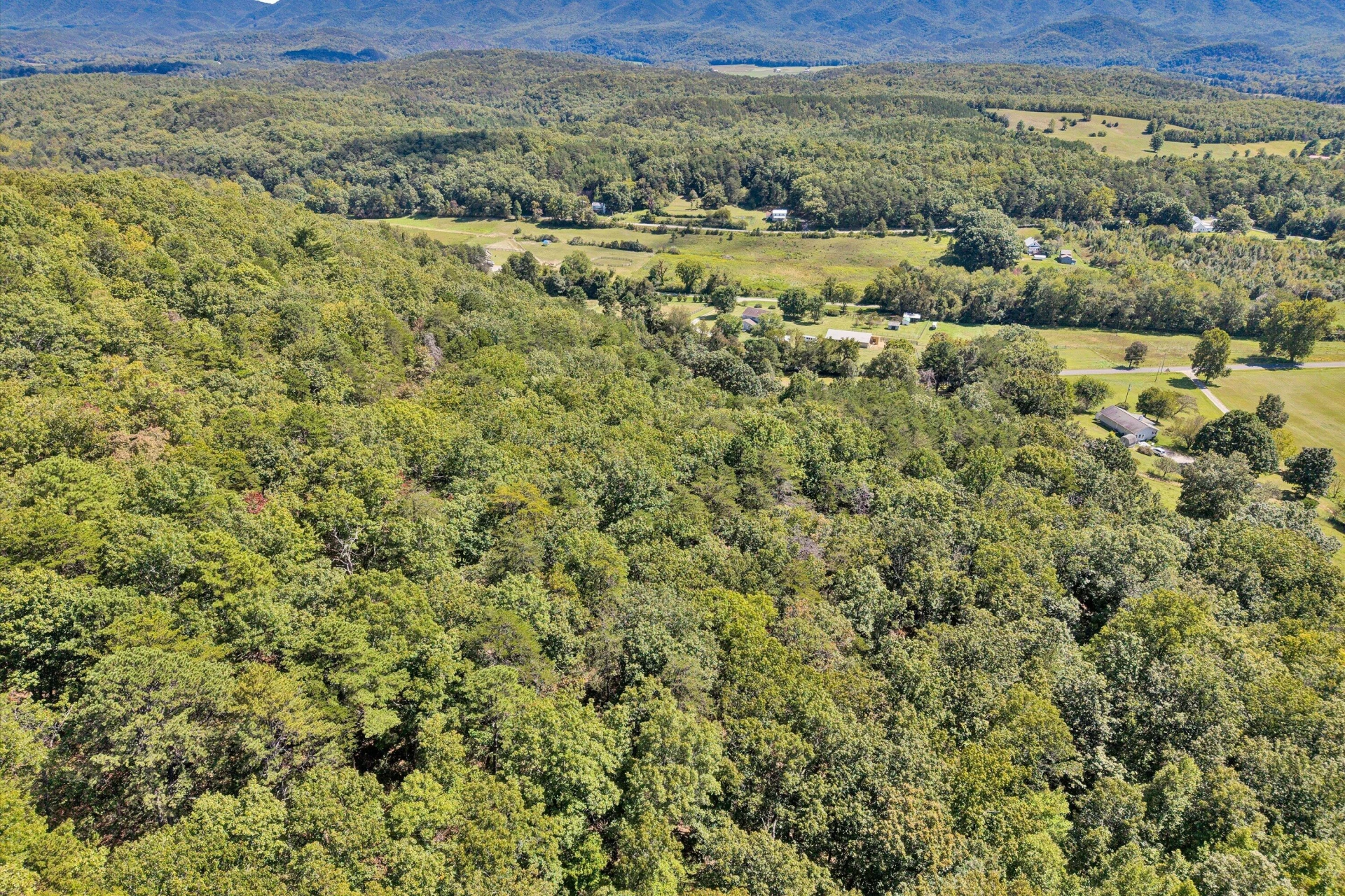 38 Pine Ridge - Photo 63