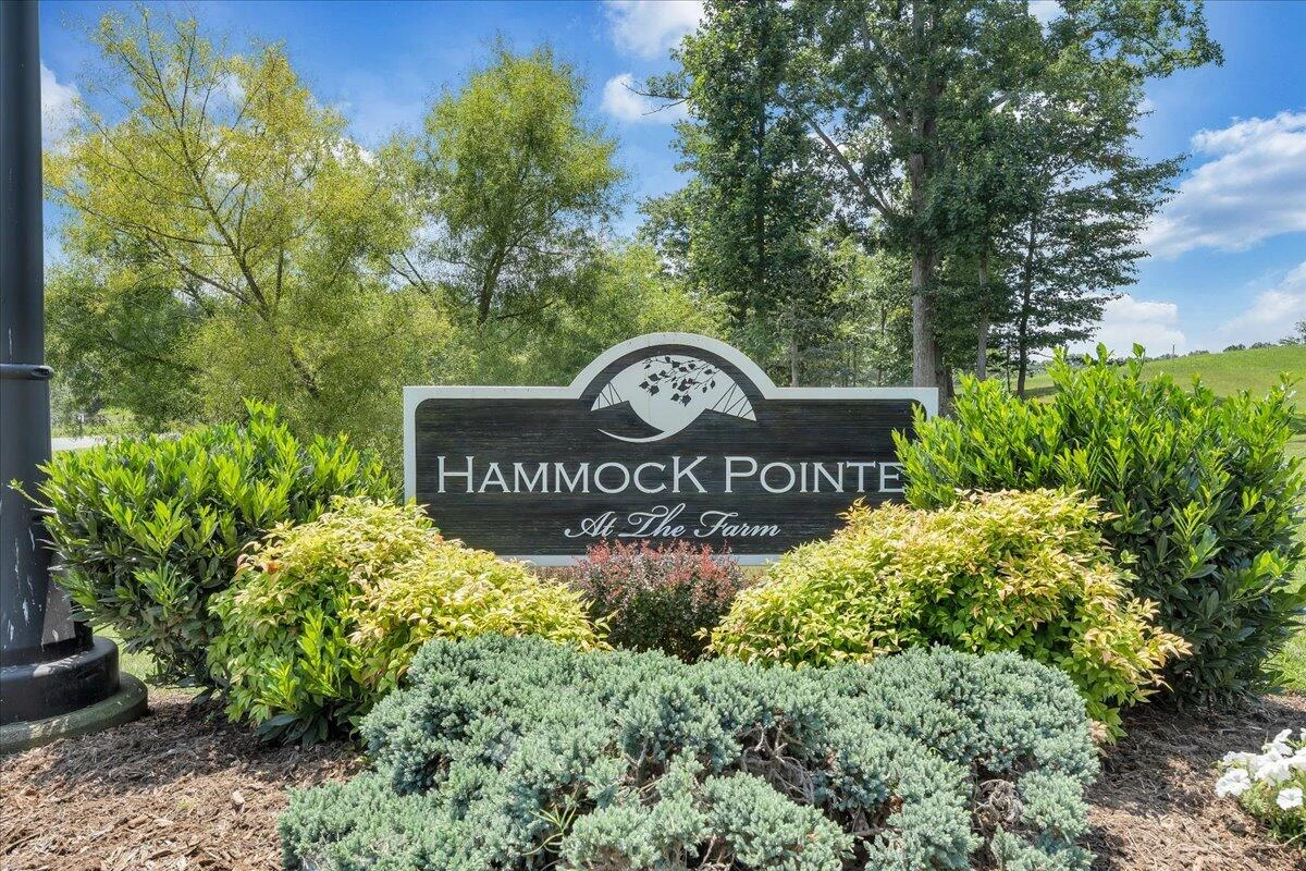 Lot 12 Hammock Pointe DR - Photo 31