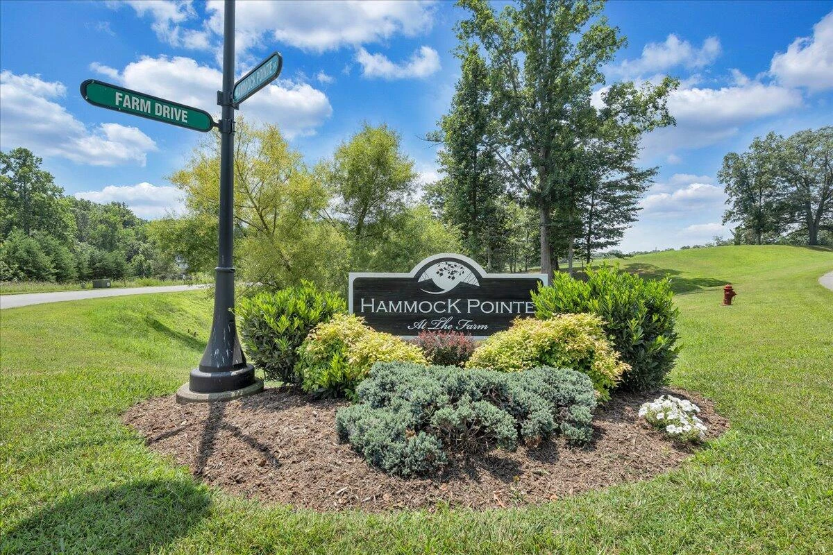 Lot 12 Hammock Pointe DR - Photo 40