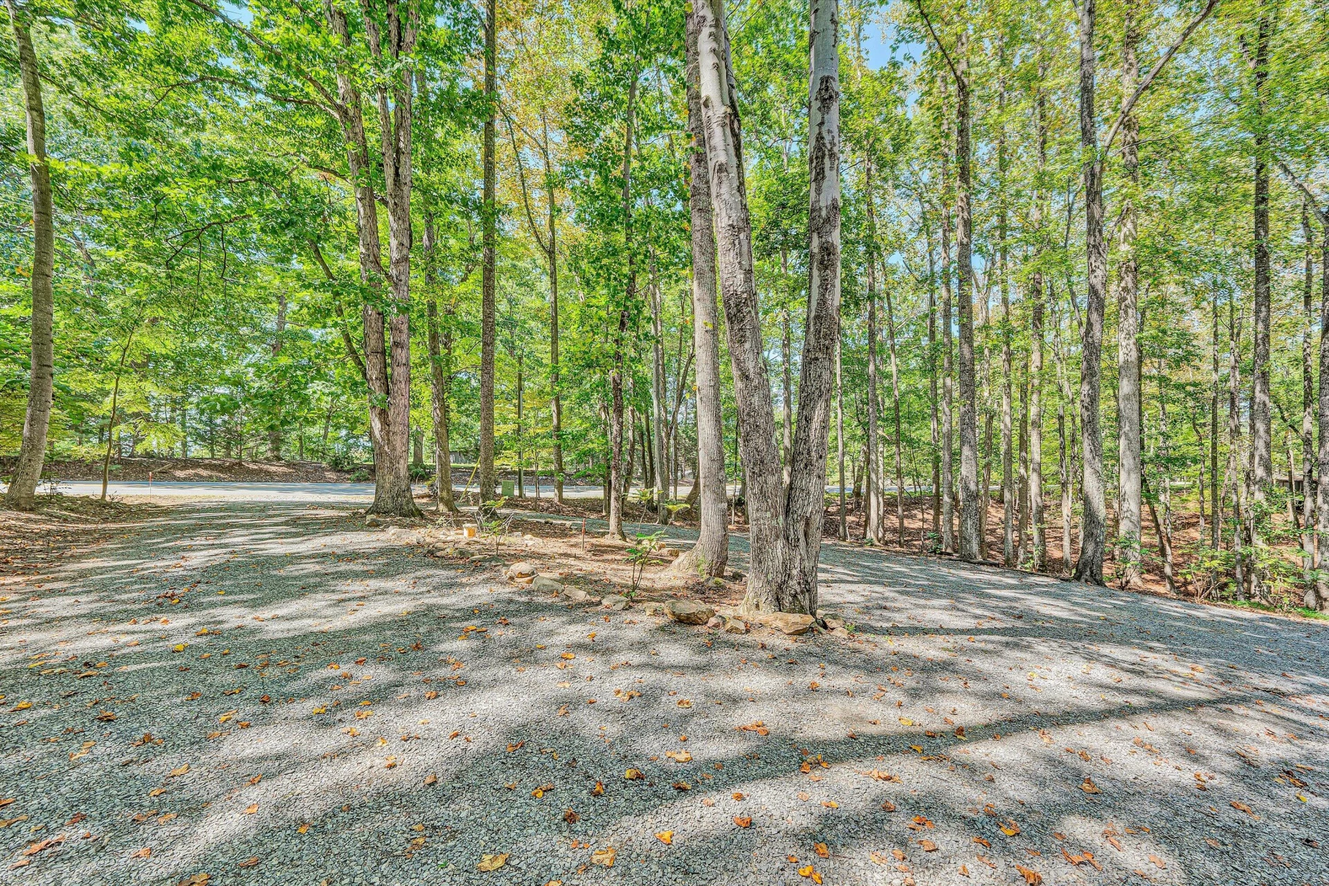 15976 Smith Mountain Lake PKWY - Photo 14