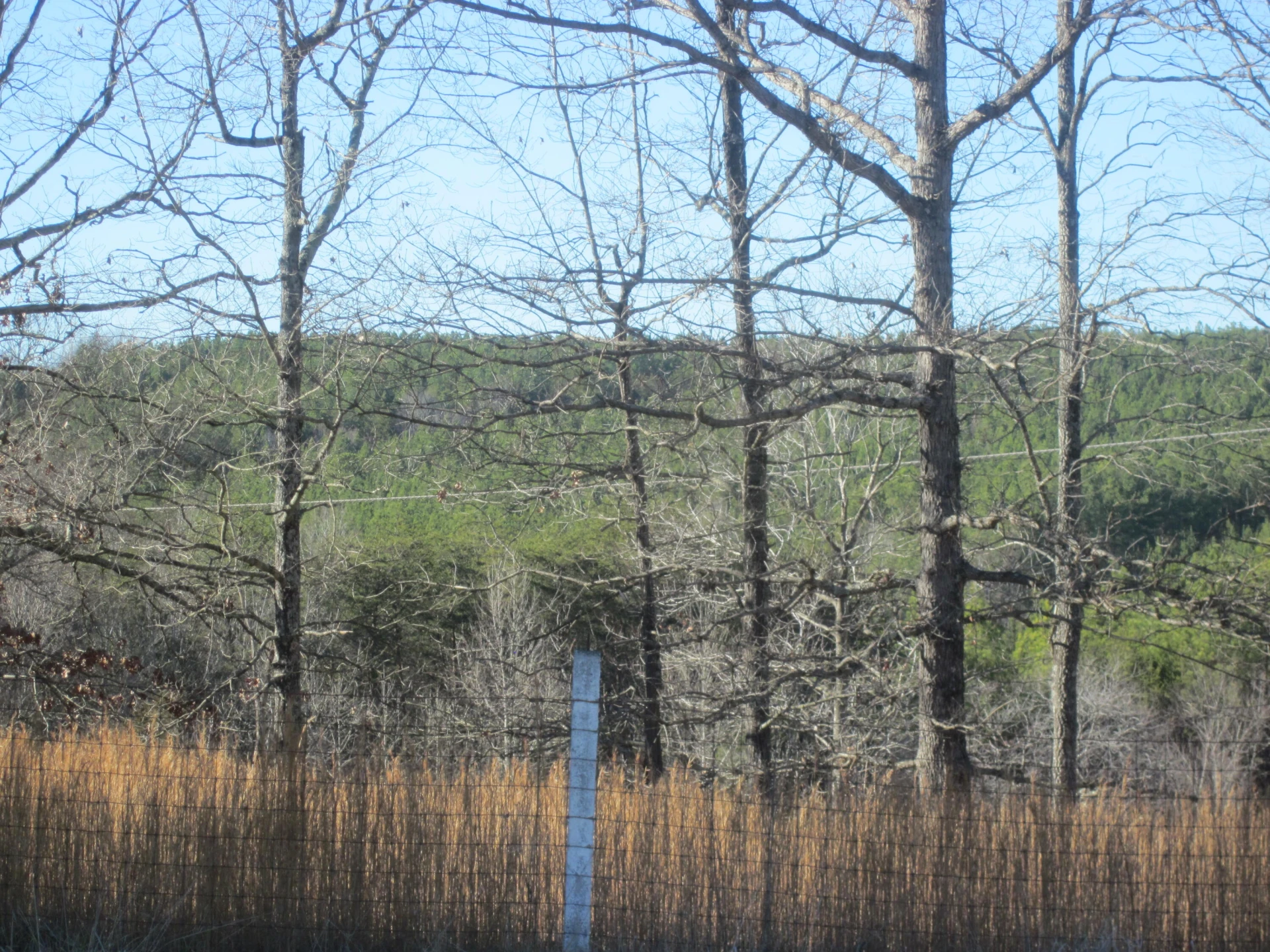 103 RIVER RIDGE DR - Photo 25
