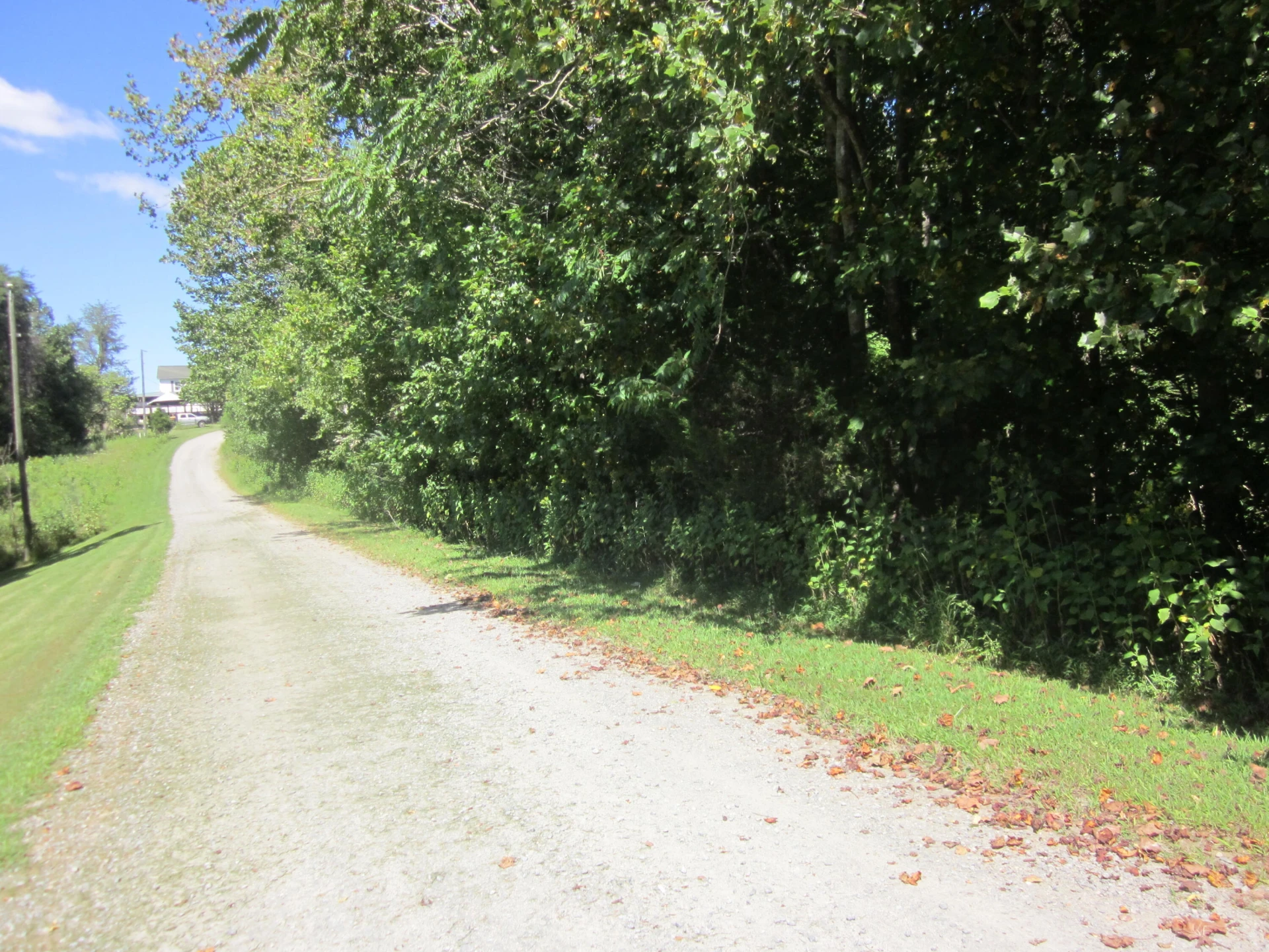 103 RIVER RIDGE DR - Photo 30
