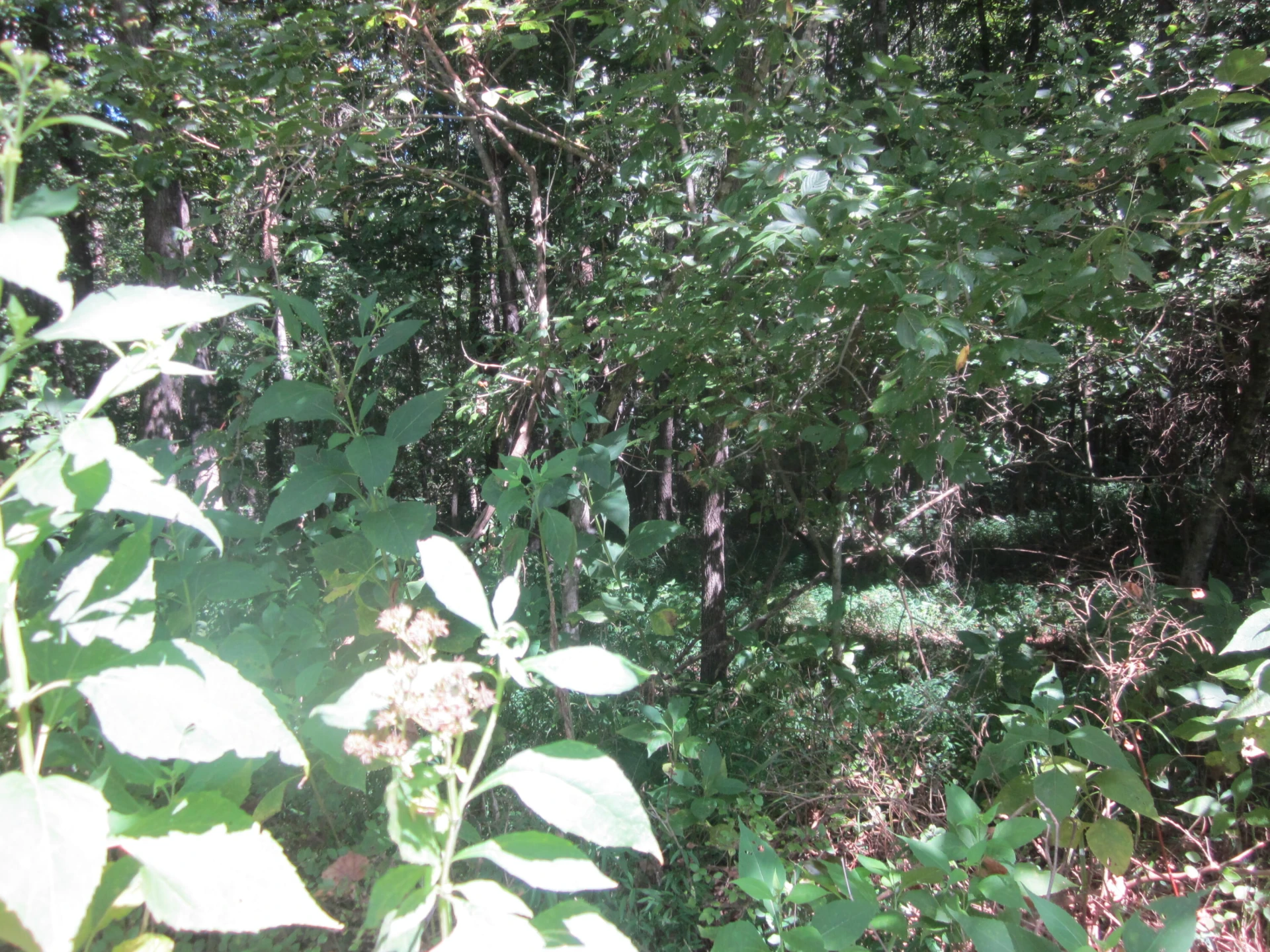 103 RIVER RIDGE DR - Photo 32