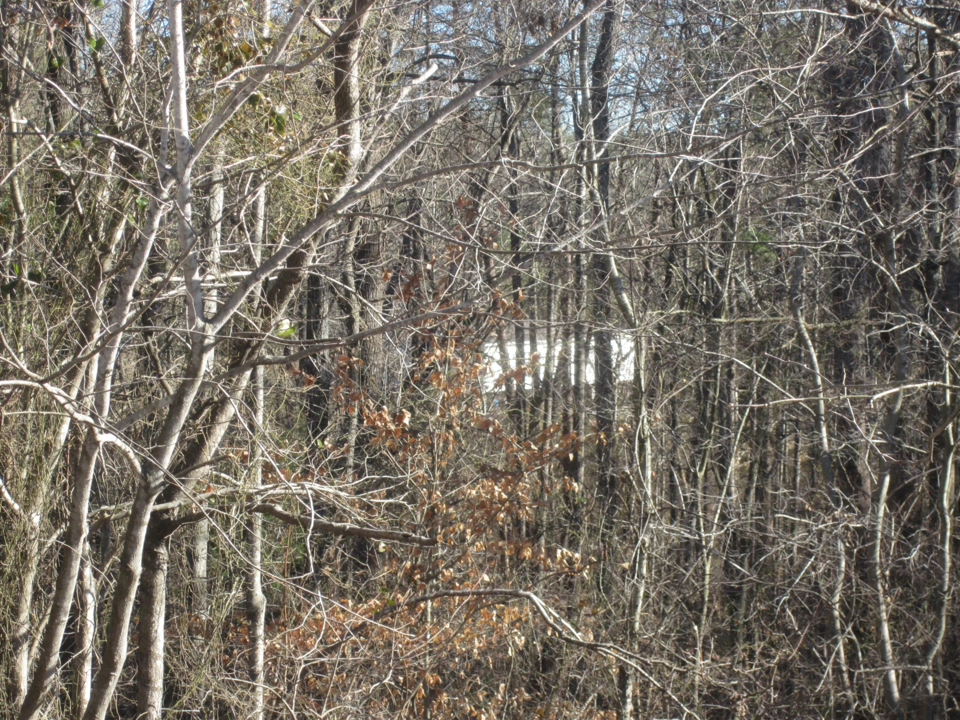 103 RIVER RIDGE DR - Photo 6
