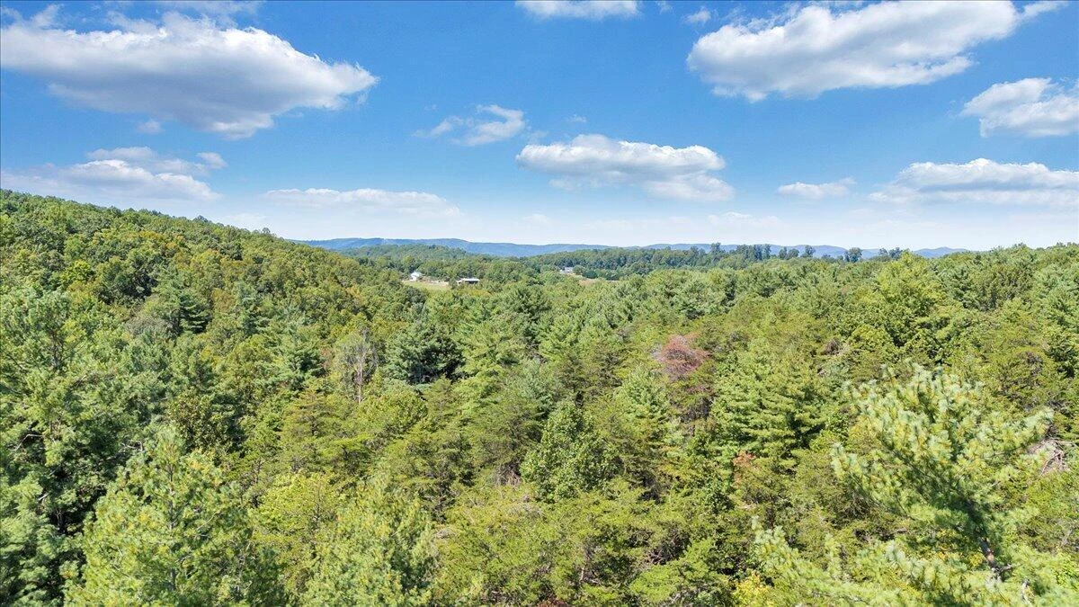 940 Claybanks DR - Photo 96