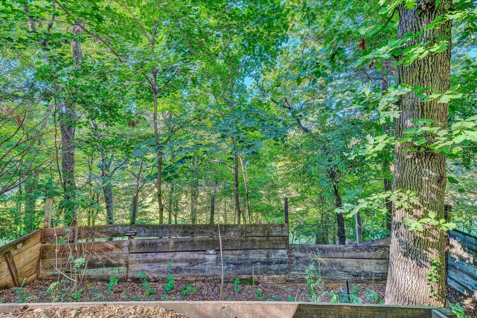 5217 Lipps RD - Photo 37