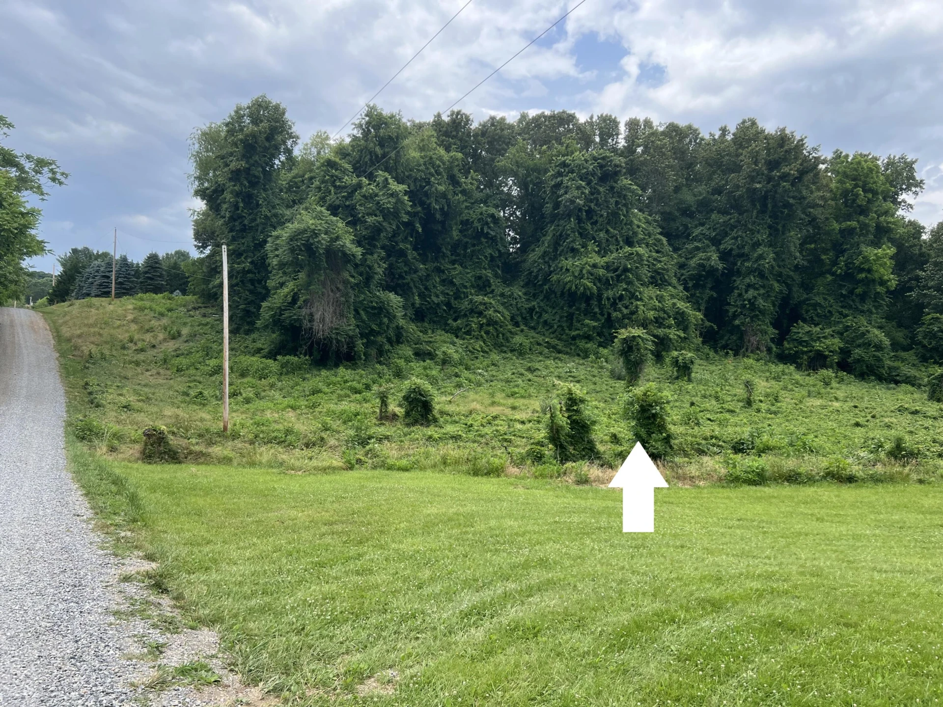 Lot 13 Crest Hills DR