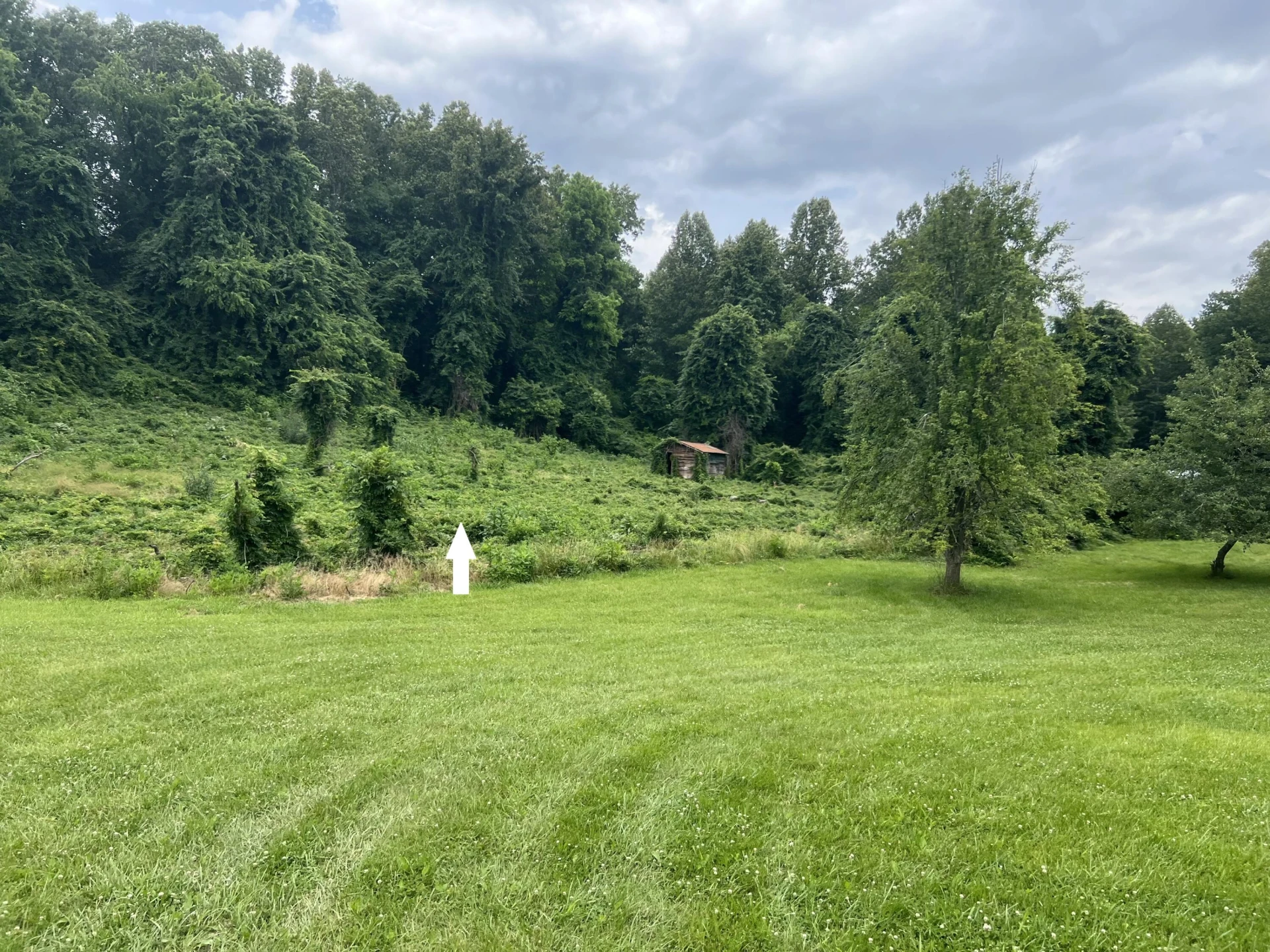 Lot 13 Crest Hills DR - Photo 2