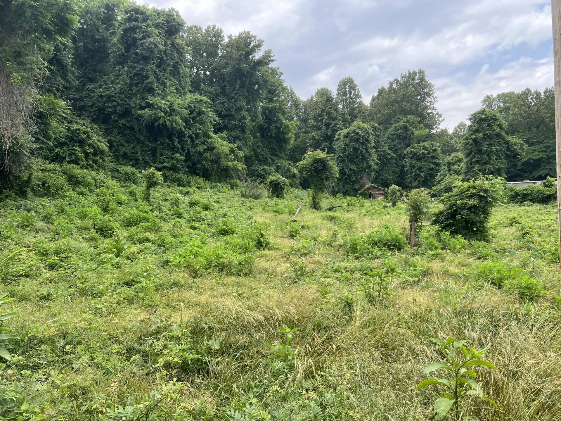 Lot 13 Crest Hills DR - Photo 3