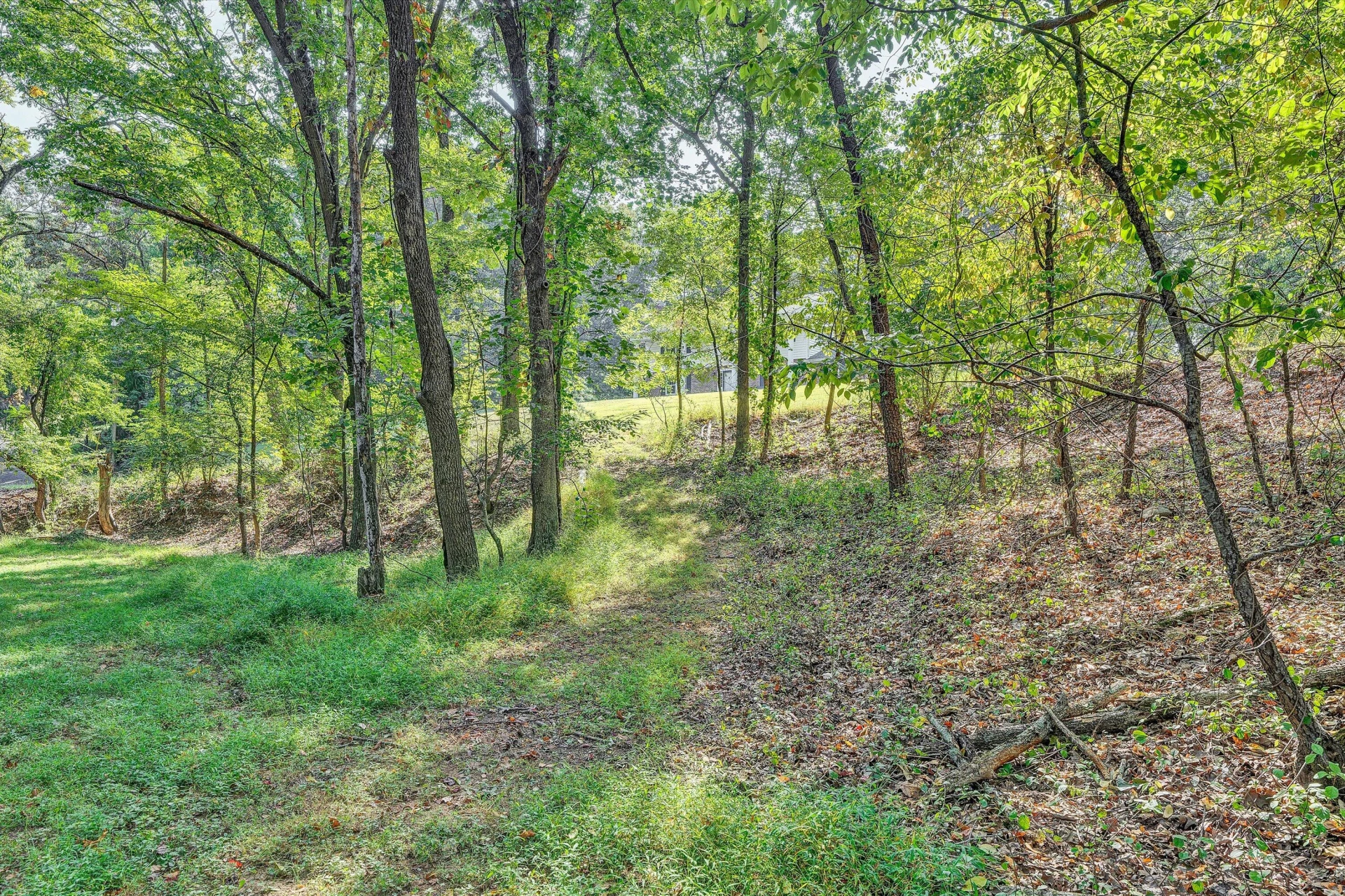 2825 Fairway Forest DR - Photo 49