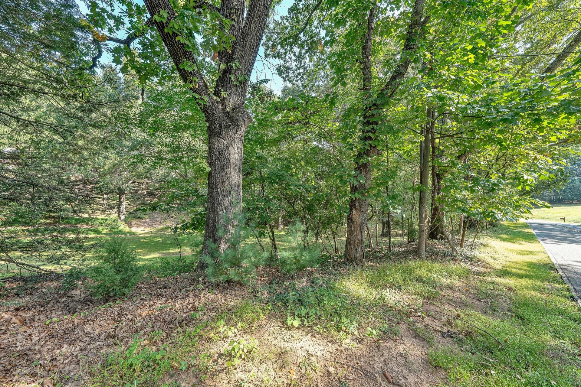 2825 Fairway Forest DR - Photo 54