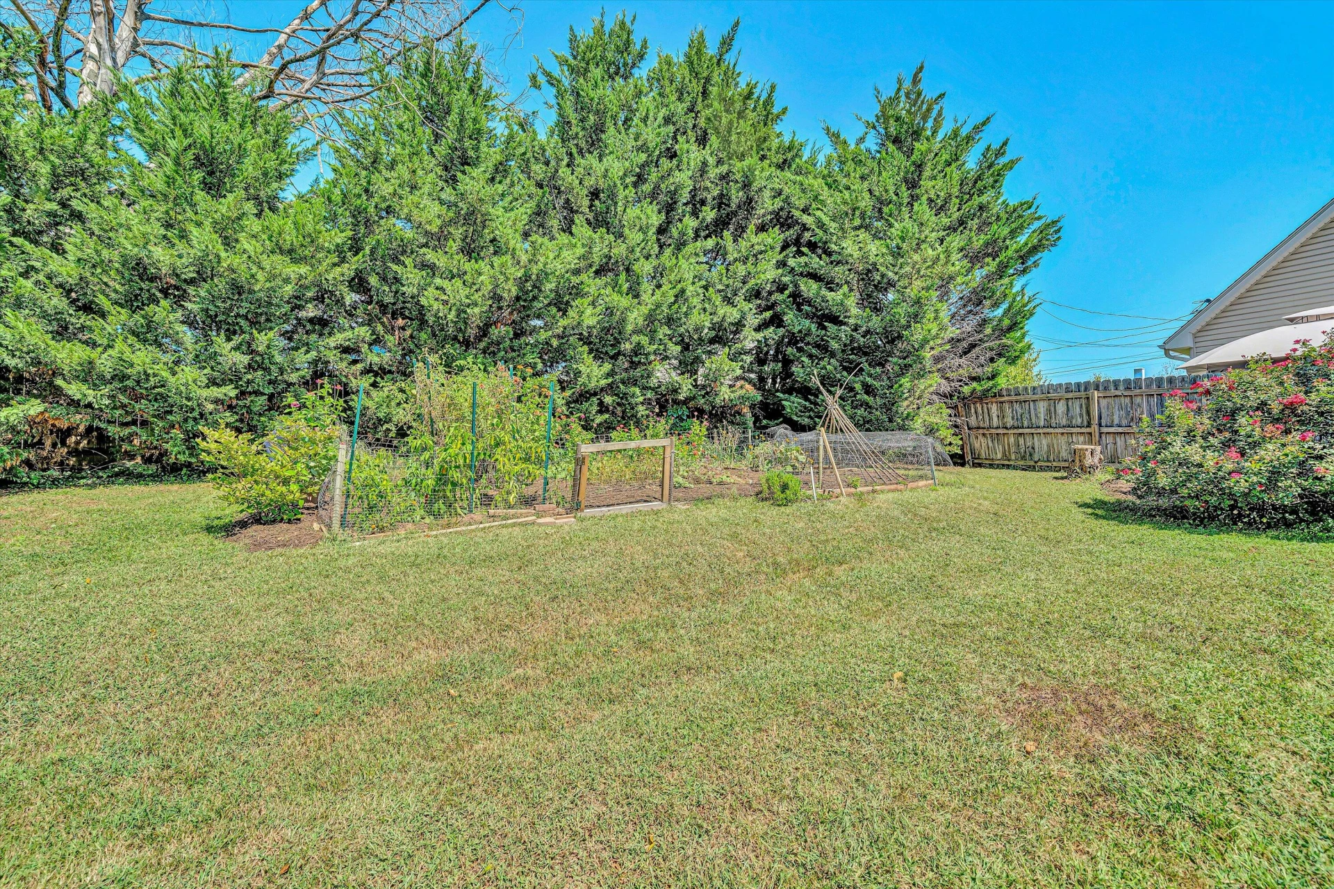 3411 Andrew AVE - Photo 26