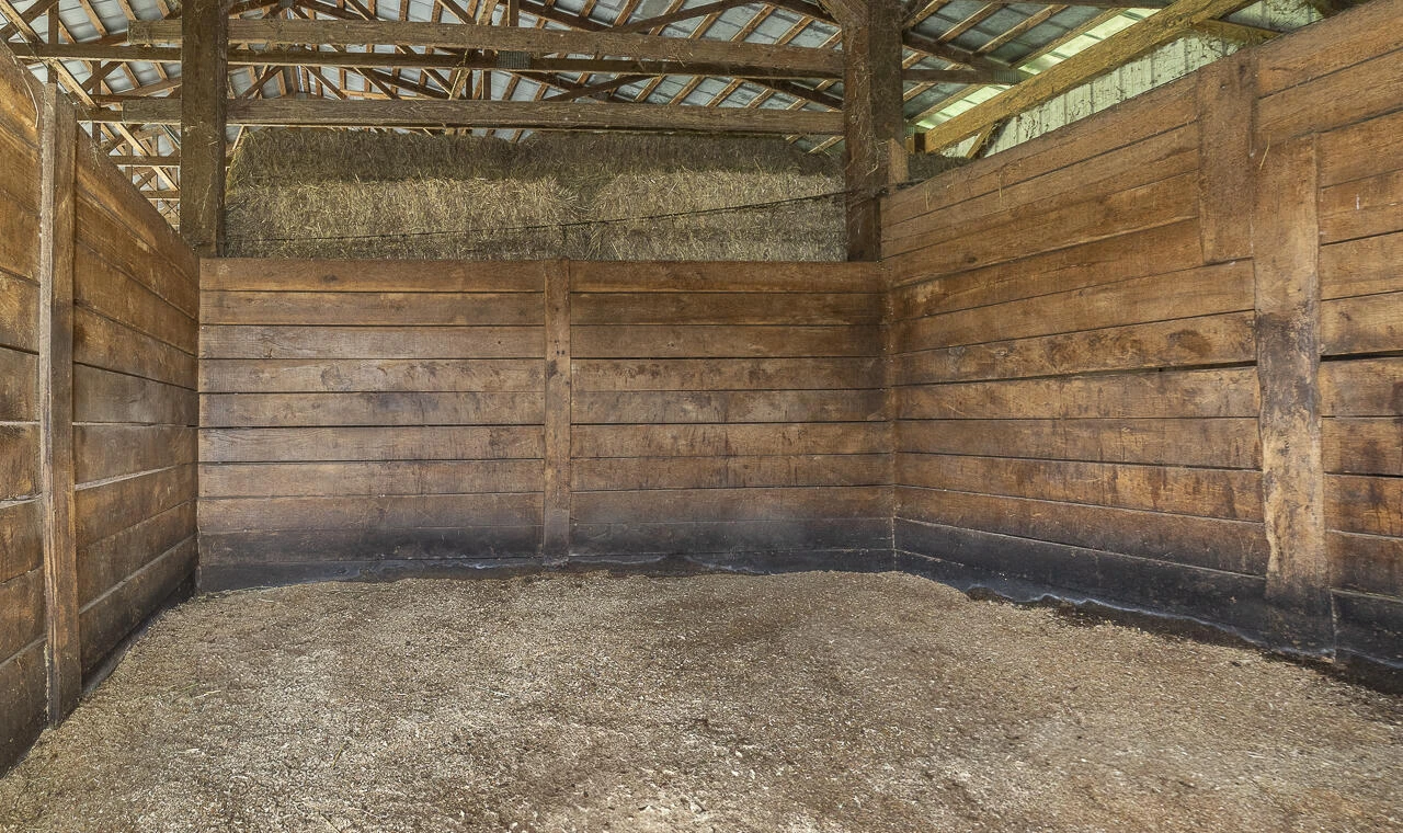 9195 Springwood RD - Photo 15