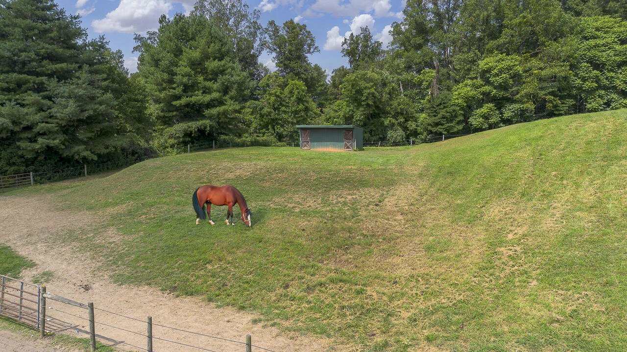 9195 Springwood RD - Photo 26