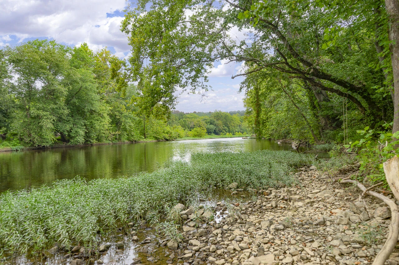 9195 Springwood RD - Photo 75