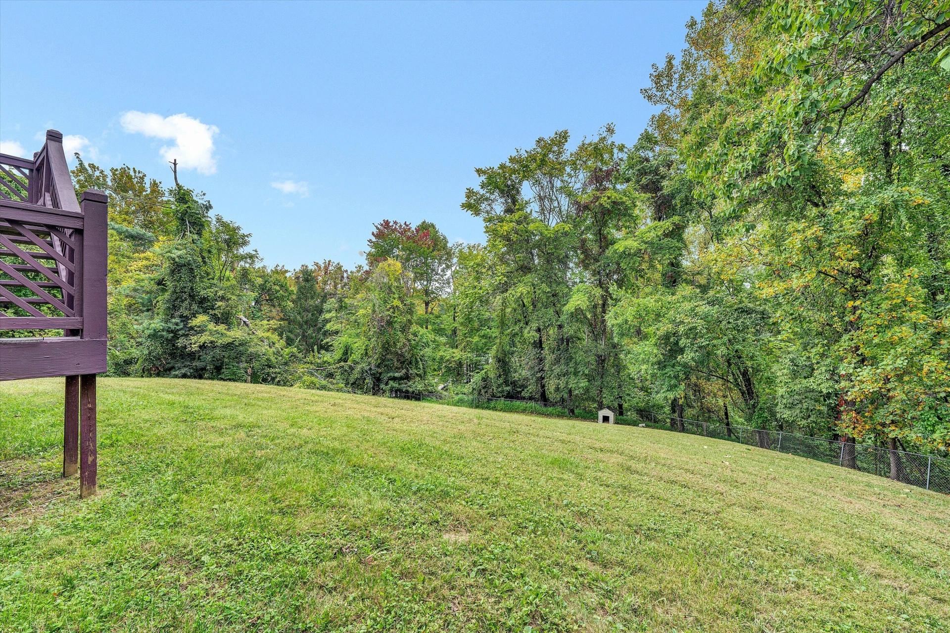 6334 Cotton Hill RD - Photo 55