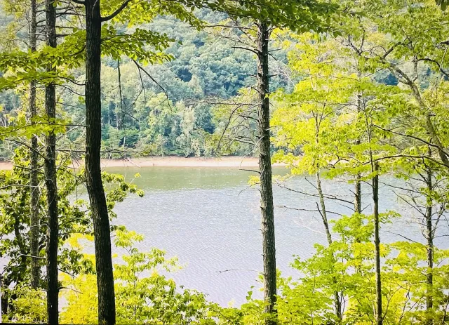 Lot 119 Greenberry DR, Pittsville, VA, 24139