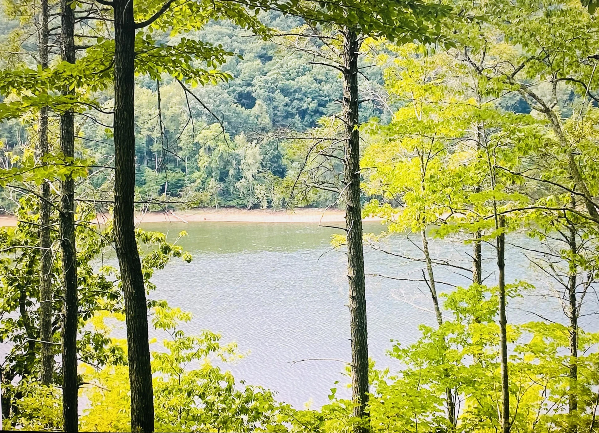 Lot 119 Greenberry DR