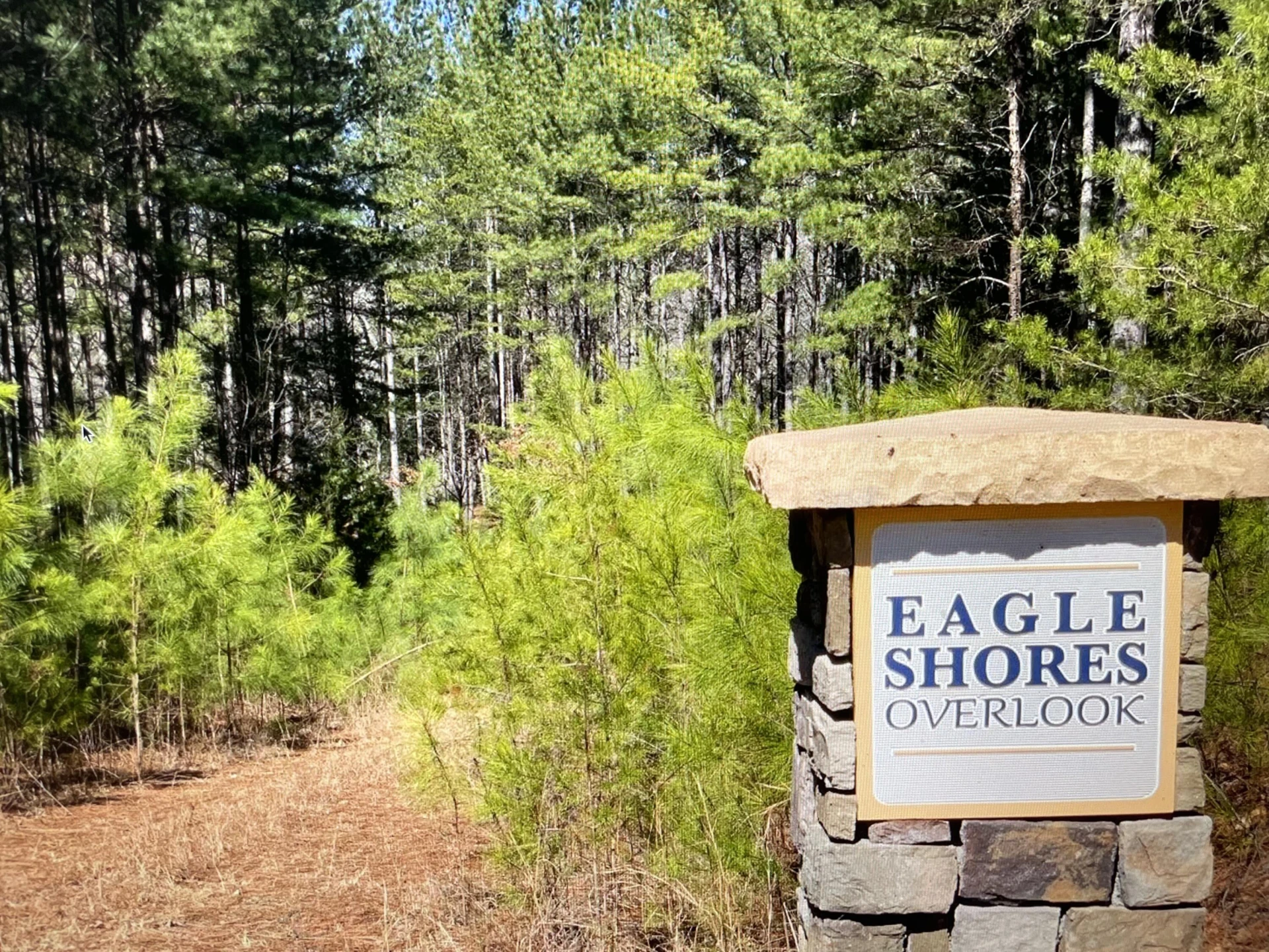 Lot 119 Greenberry DR - Photo 10