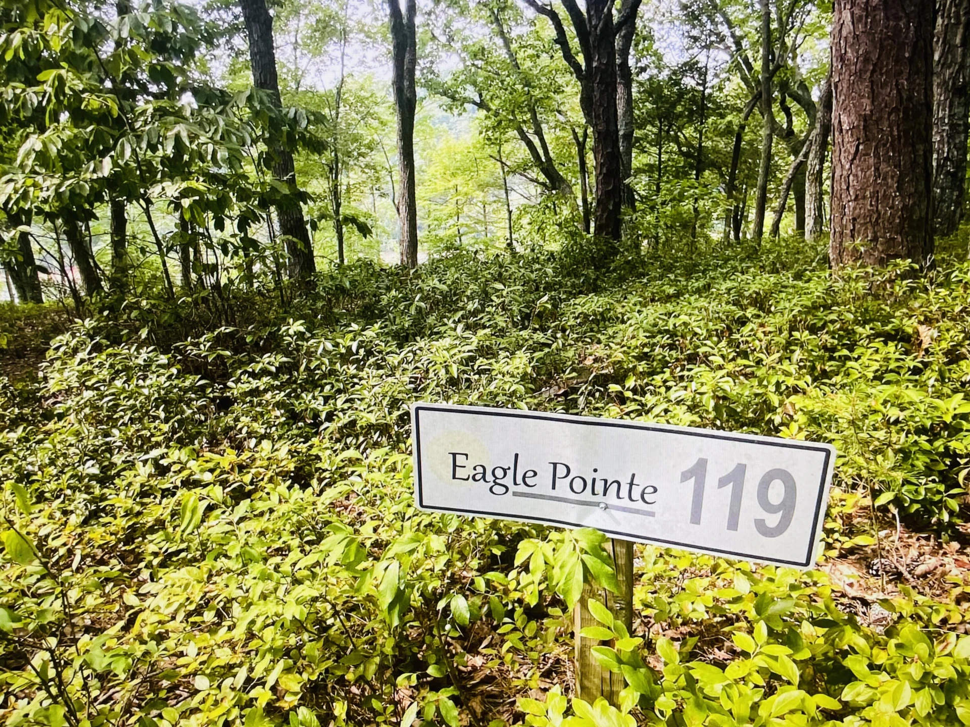 Lot 119 Greenberry DR - Photo 11