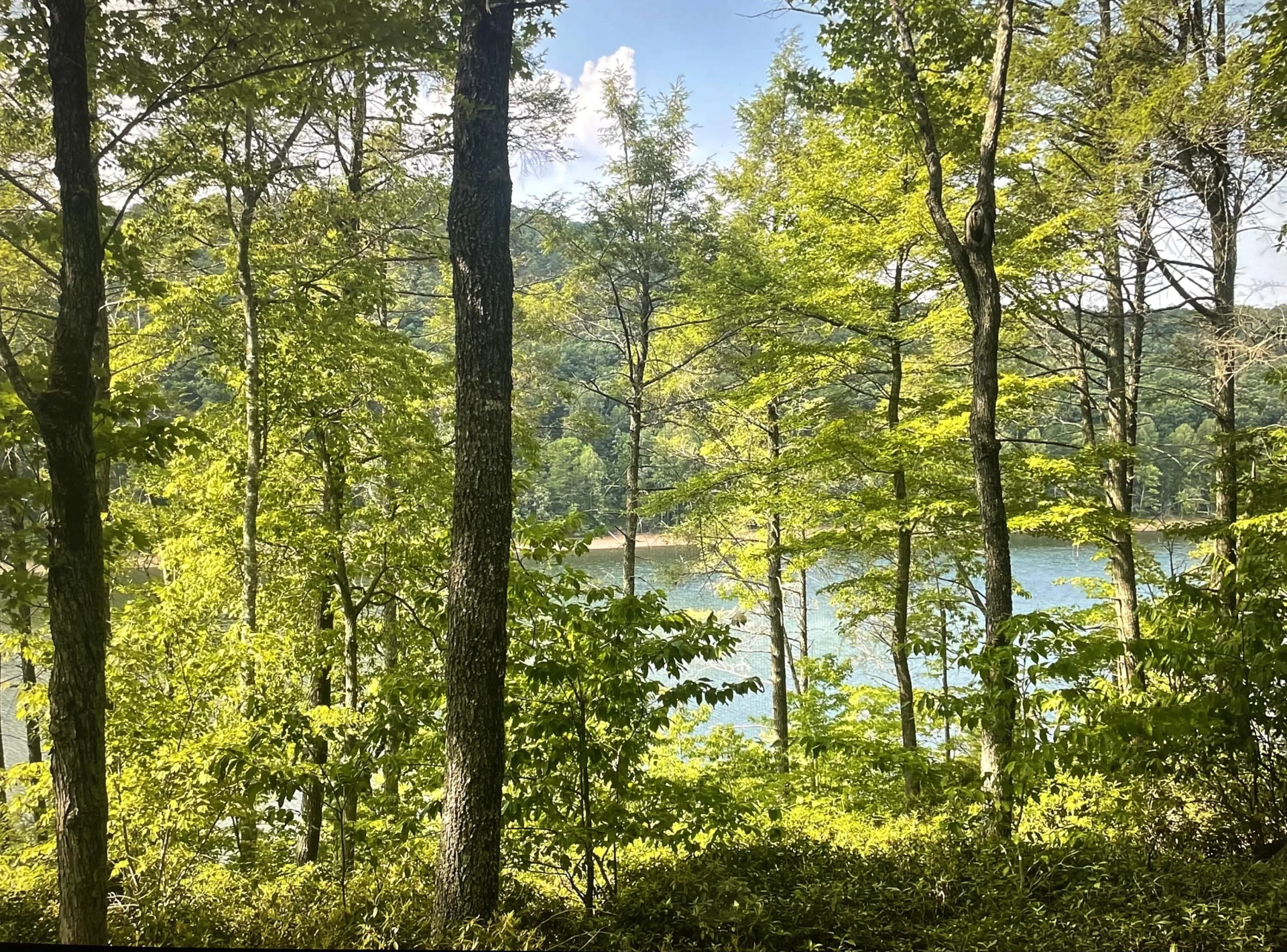 Lot 119 Greenberry DR - Photo 3
