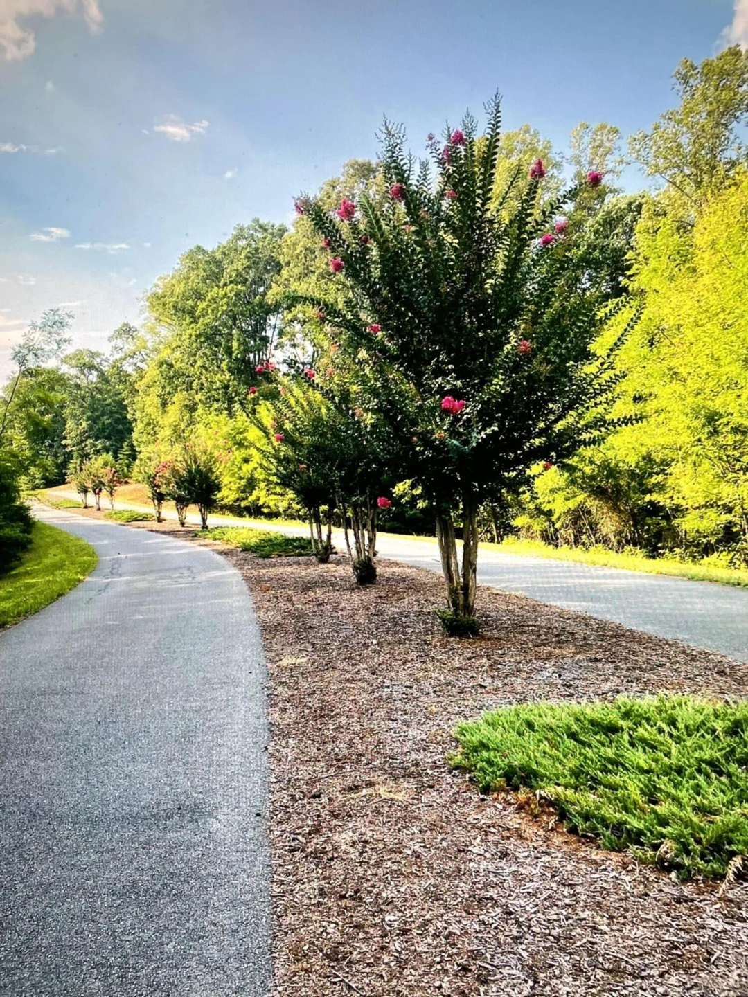Lot 119 Greenberry DR - Photo 4