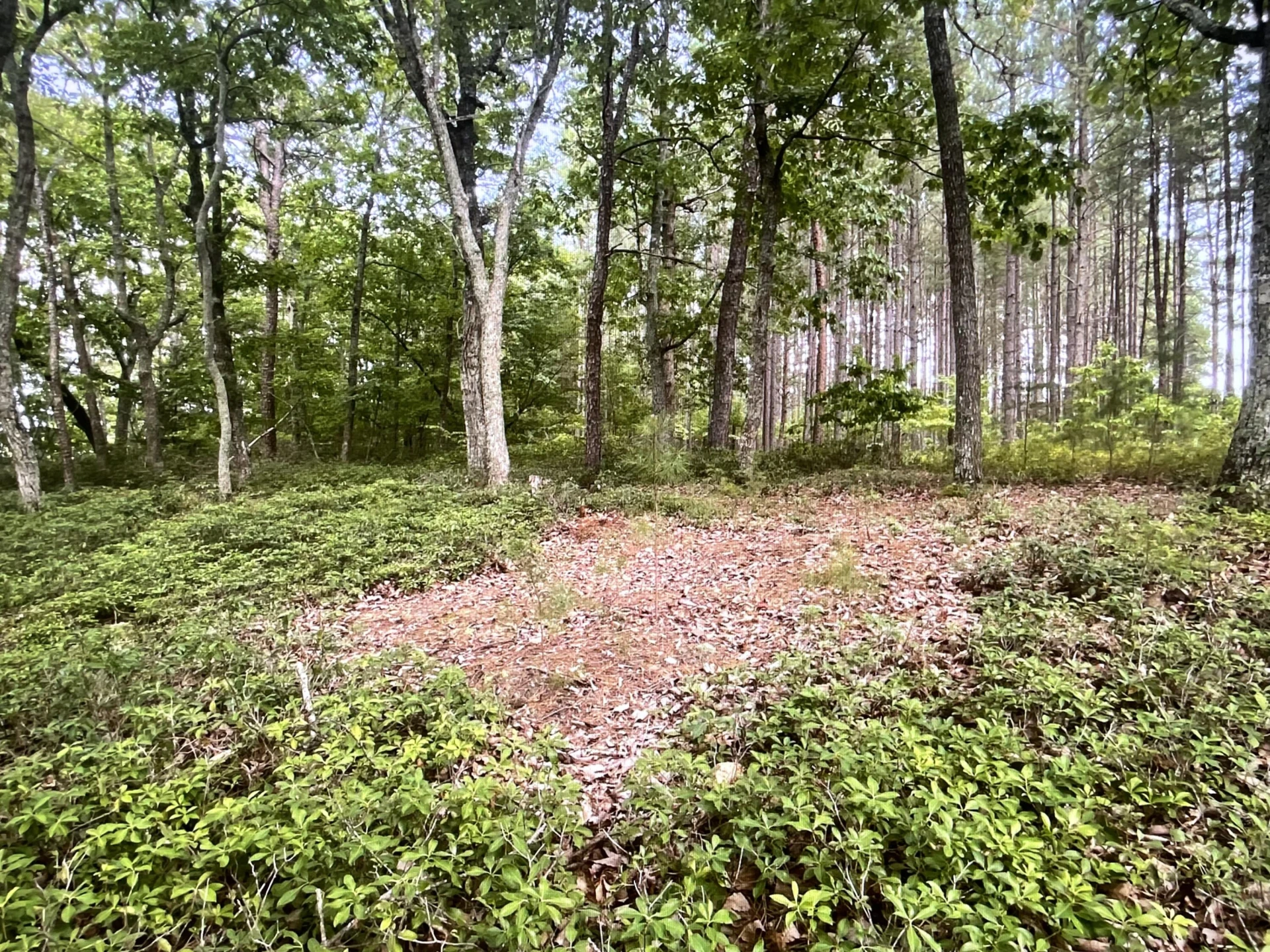 Lot 119 Greenberry DR - Photo 6