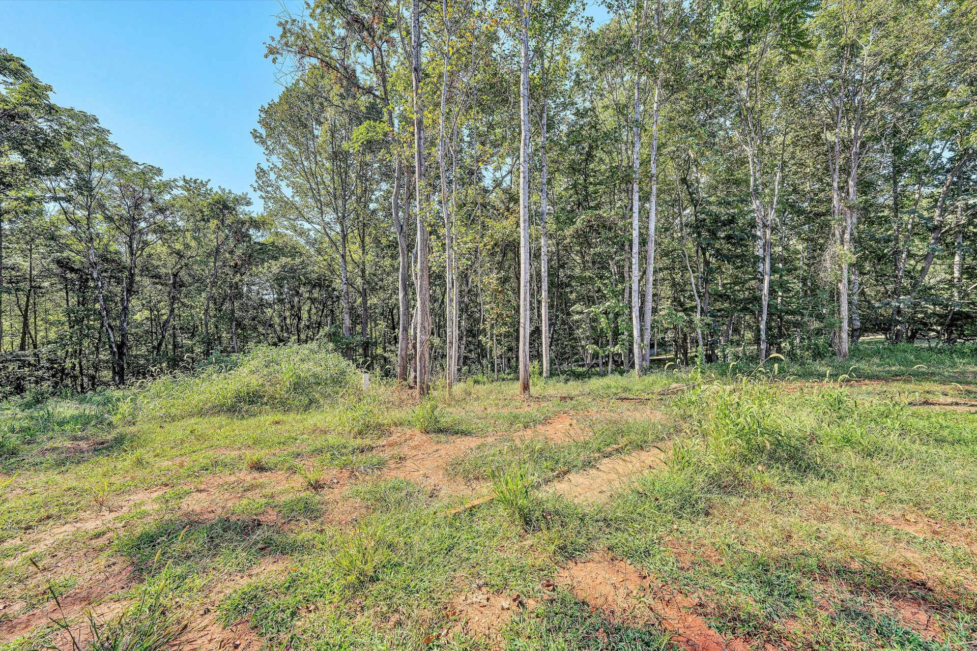 3769 Hales Ford RD - Photo 22