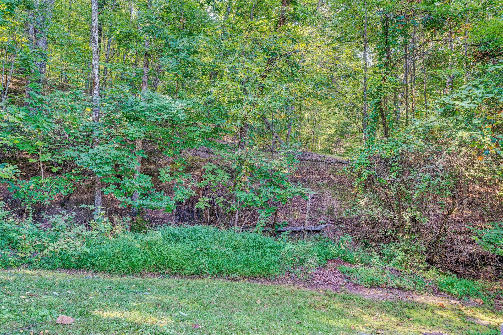 1030 Healing Springs RD - Photo 32