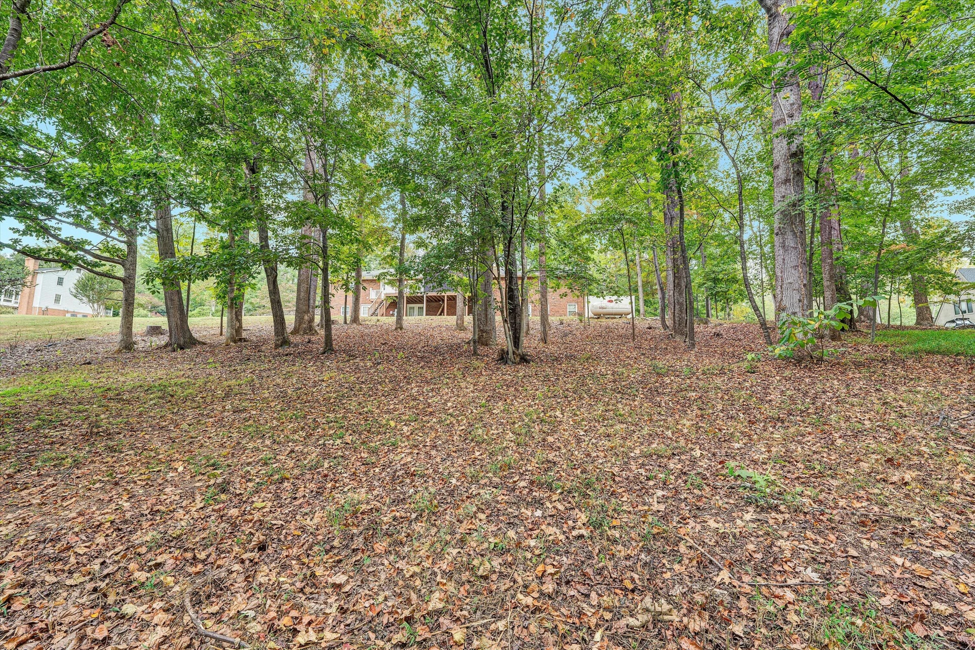 407 Brookledge DR - Photo 57
