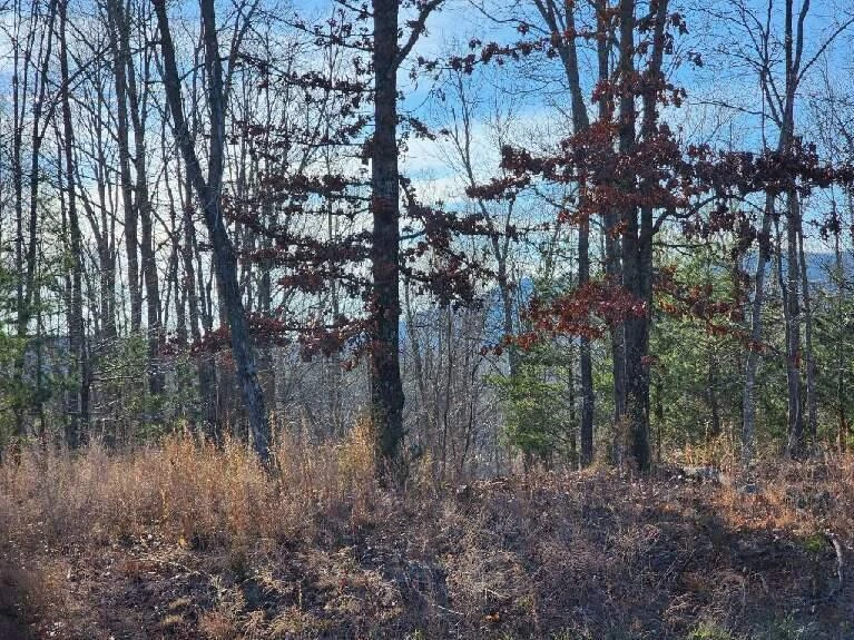 Lot 7 Robin Ridge CT - Photo 10