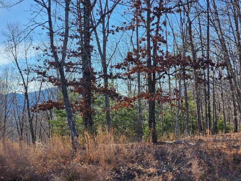 Lot 7 Robin Ridge CT - Photo 14