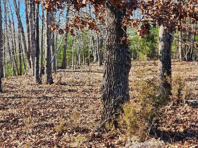 Lot 7 Robin Ridge CT - Photo 15