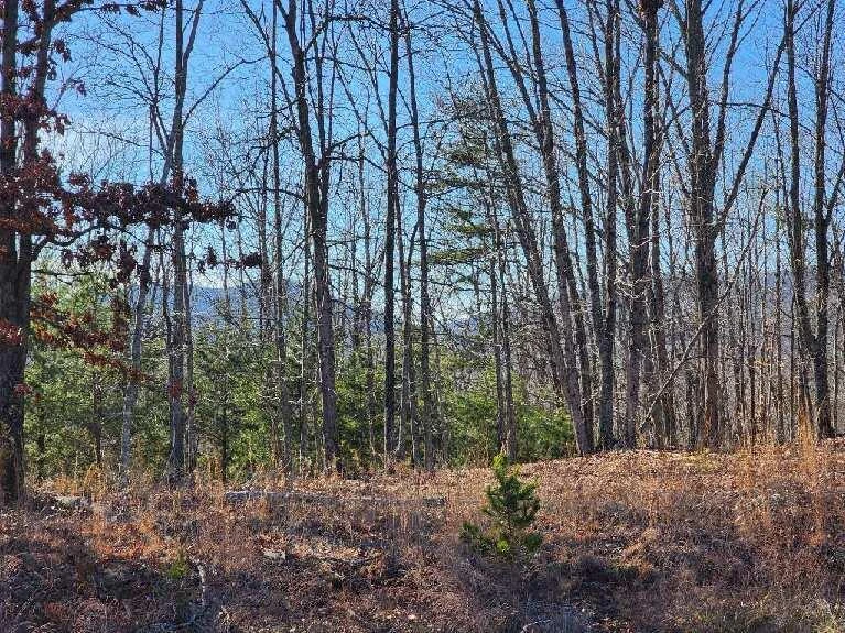 Lot 7 Robin Ridge CT - Photo 2