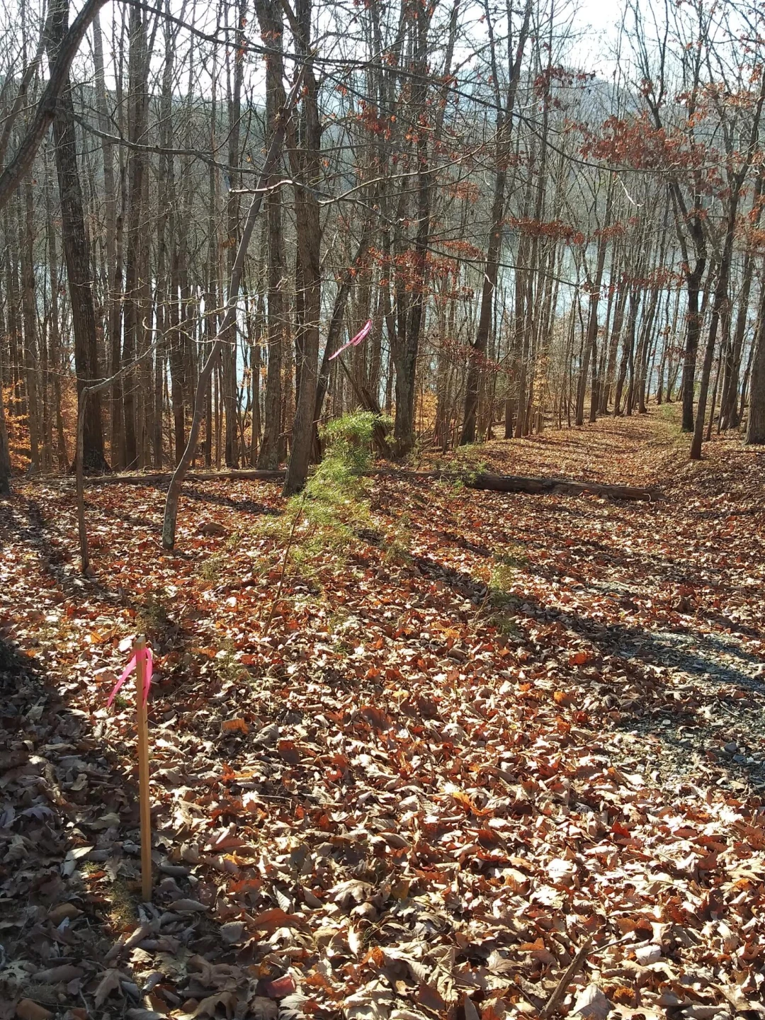 Lot 7 Robin Ridge CT - Photo 20