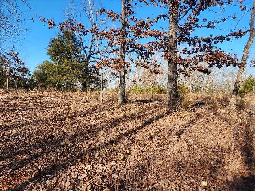 Lot 7 Robin Ridge CT - Photo 3