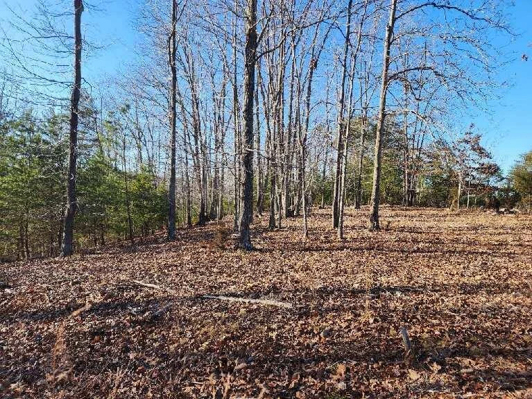 Lot 7 Robin Ridge CT - Photo 4