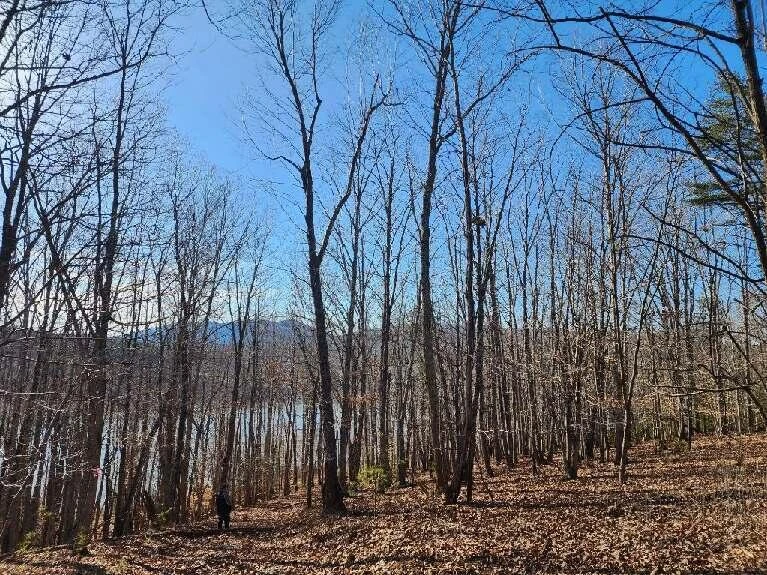 Lot 7 Robin Ridge CT - Photo 5