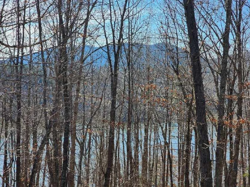Lot 7 Robin Ridge CT - Photo 6