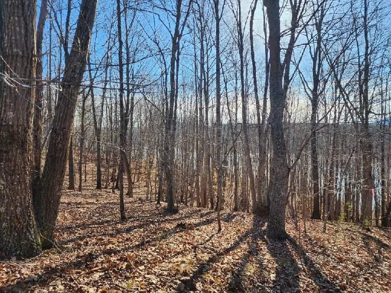 Lot 7 Robin Ridge CT - Photo 7