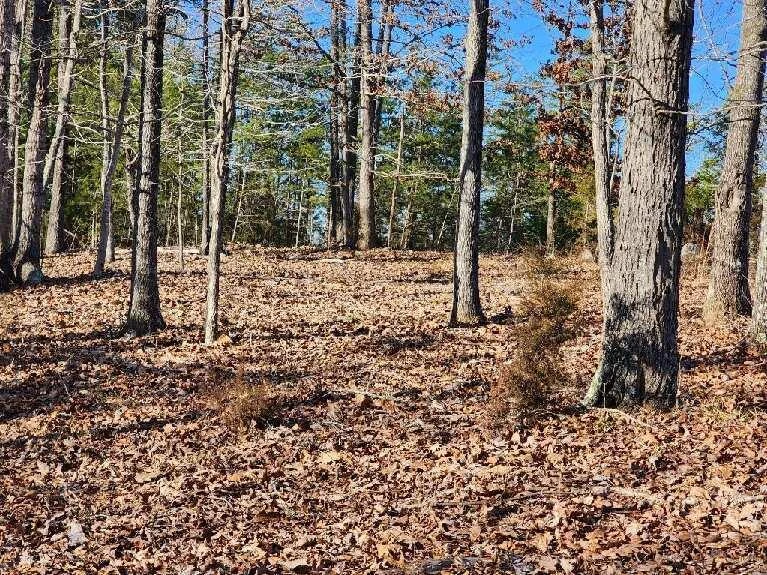 Lot 7 Robin Ridge CT - Photo 8