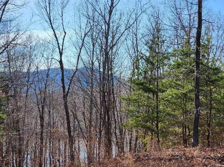 Lot 7 Robin Ridge CT - Photo 9