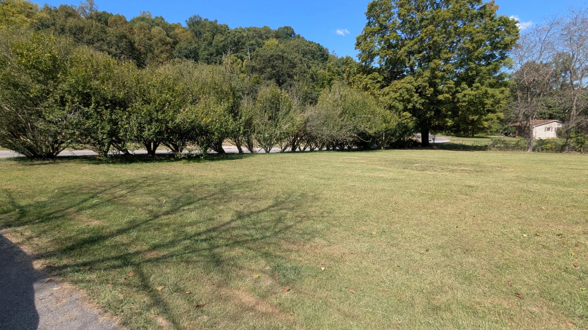6150 Dry Hollow RD - Photo 13