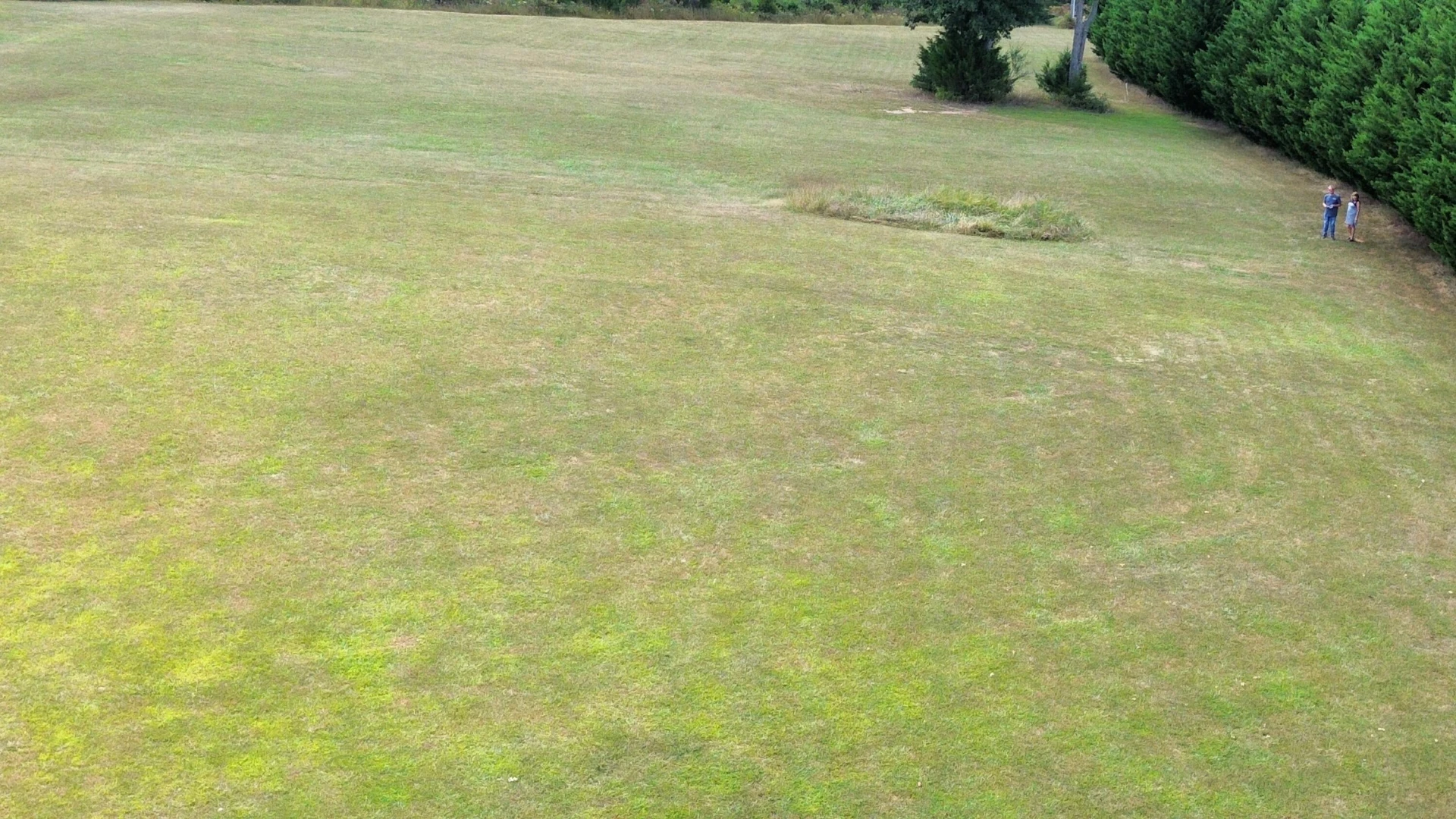 Lot 3 Gladdy Branch RD - Photo 13