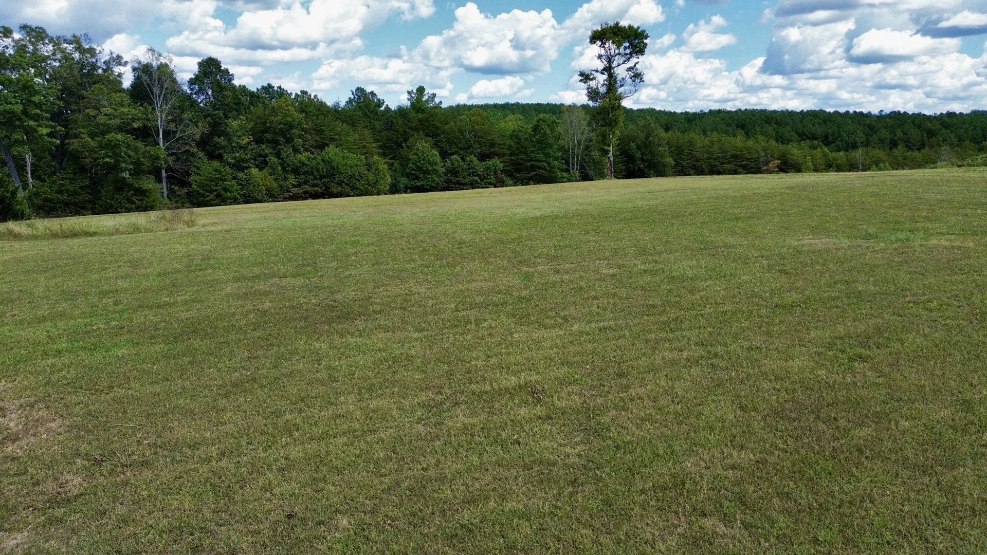 Lot 3 Gladdy Branch RD - Photo 17