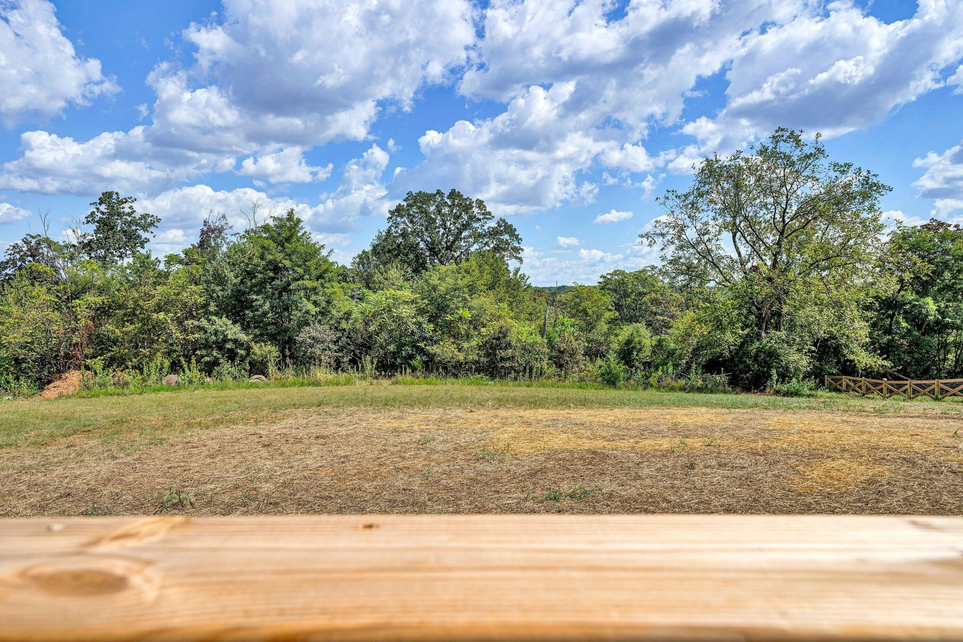 2236 Lipscomb RD - Photo 31
